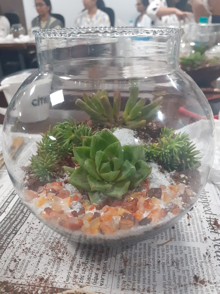 Terrarium